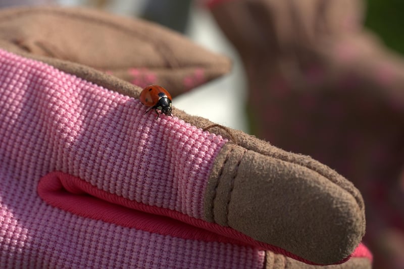 Glowing Gardening Gloves
