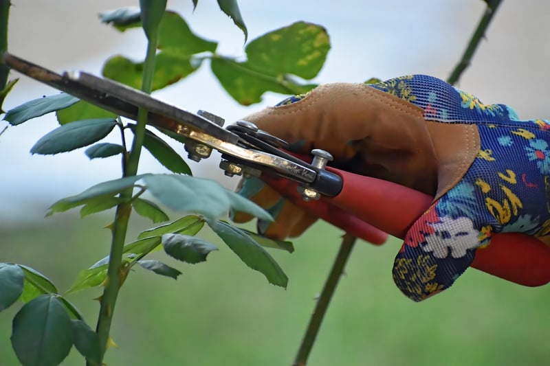 Magic Pruning Shears