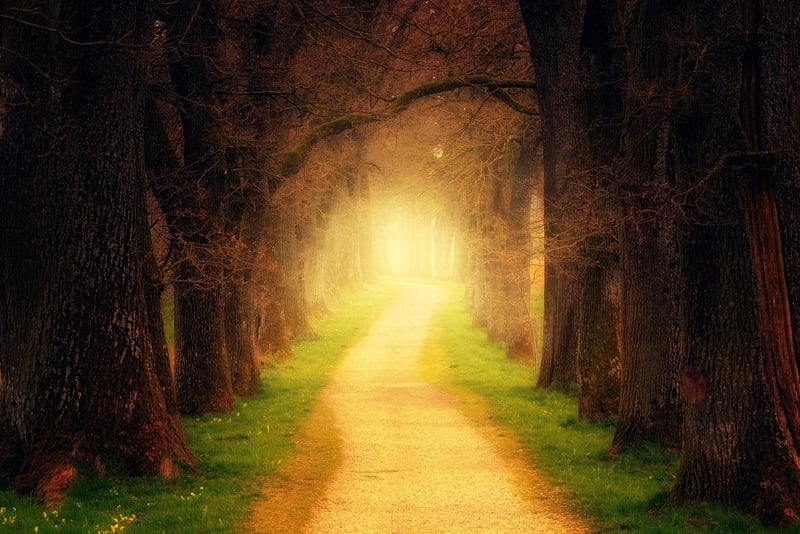 Magical Pathway